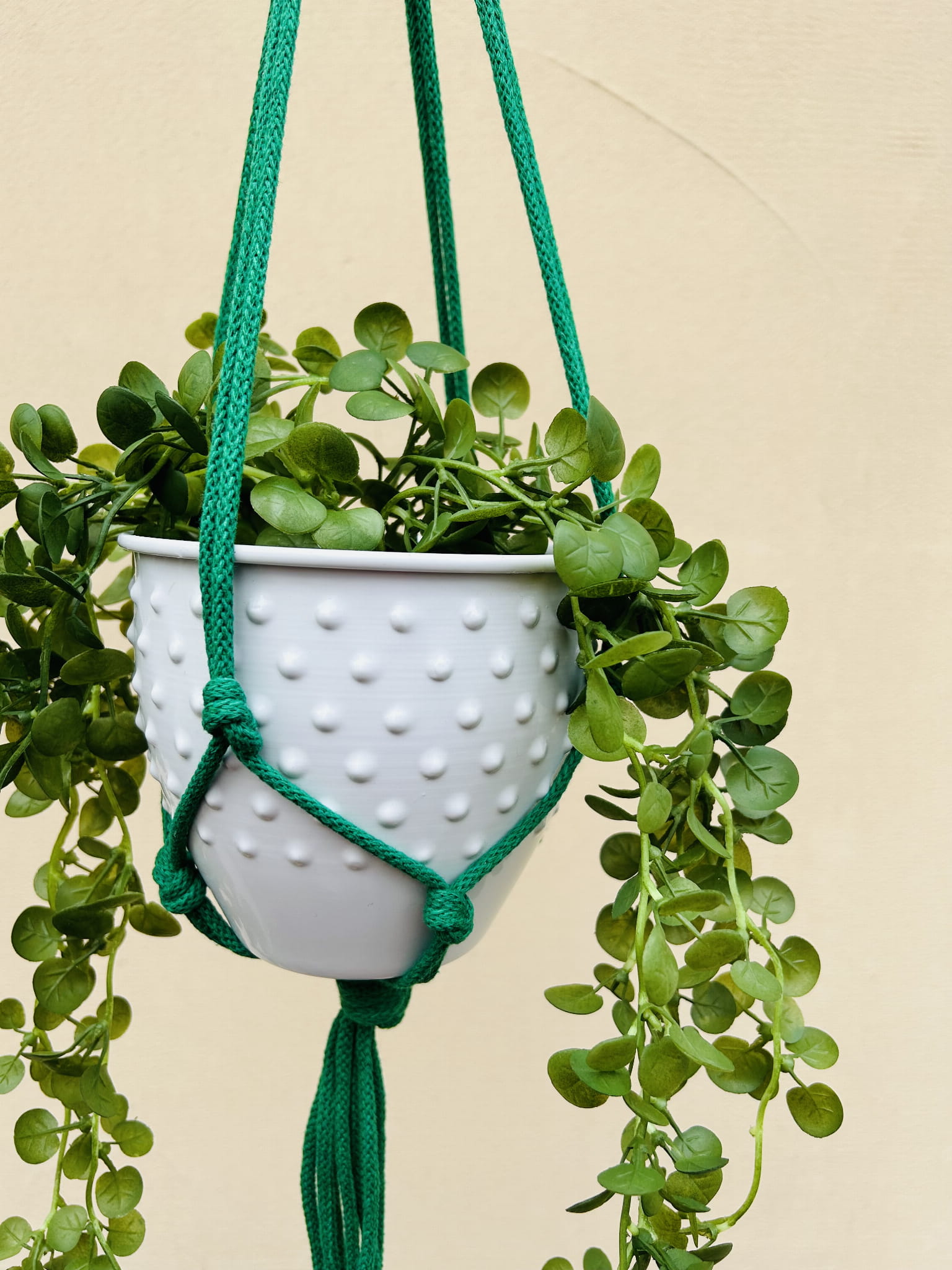 353f63bdb1d1ec693d7ec642098f630b