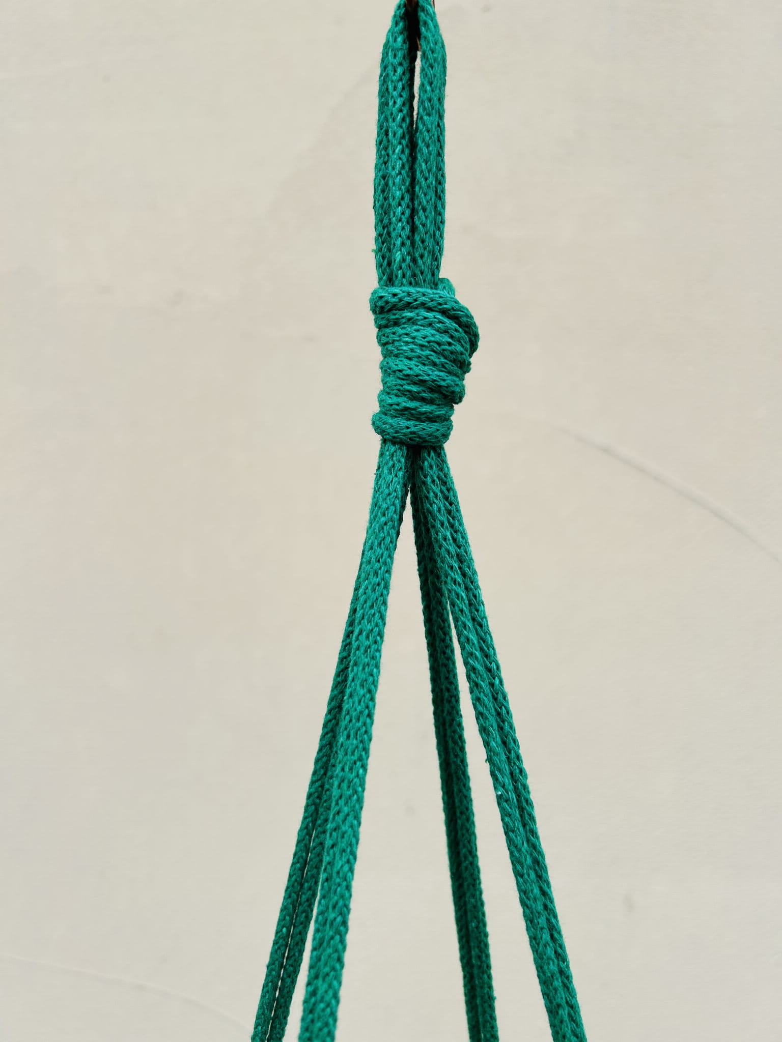 1fbece9c8dff38a498c17d946a90ec17