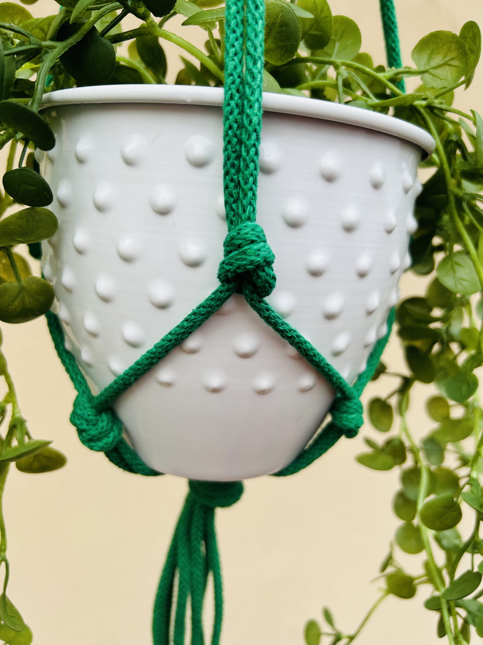 e034dfc4a4ca288504df8002b6acd0ba