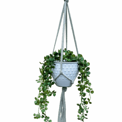 50667cbb4fa8afa4d30e06395ef24938