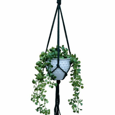 a01f016dd636c5de969bf842372b4cfd