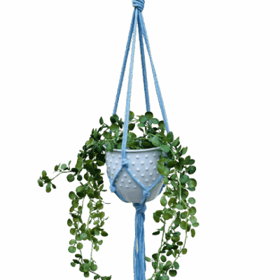 24744f90ecff6567fc51ef71850eaebb