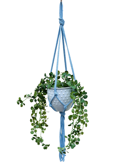 24744f90ecff6567fc51ef71850eaebb