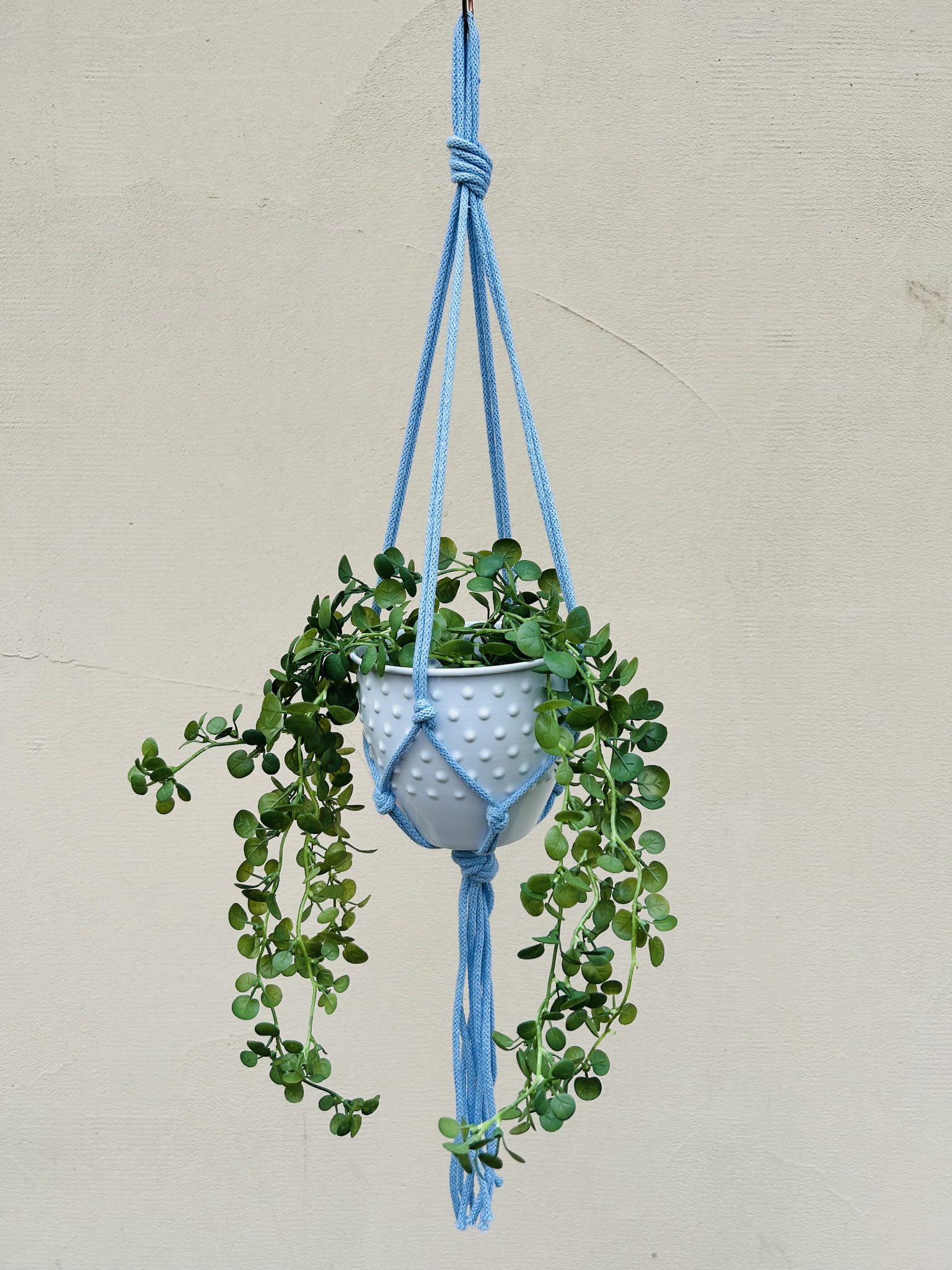 f5f5a749cfa808102edf250b0b90bd2d