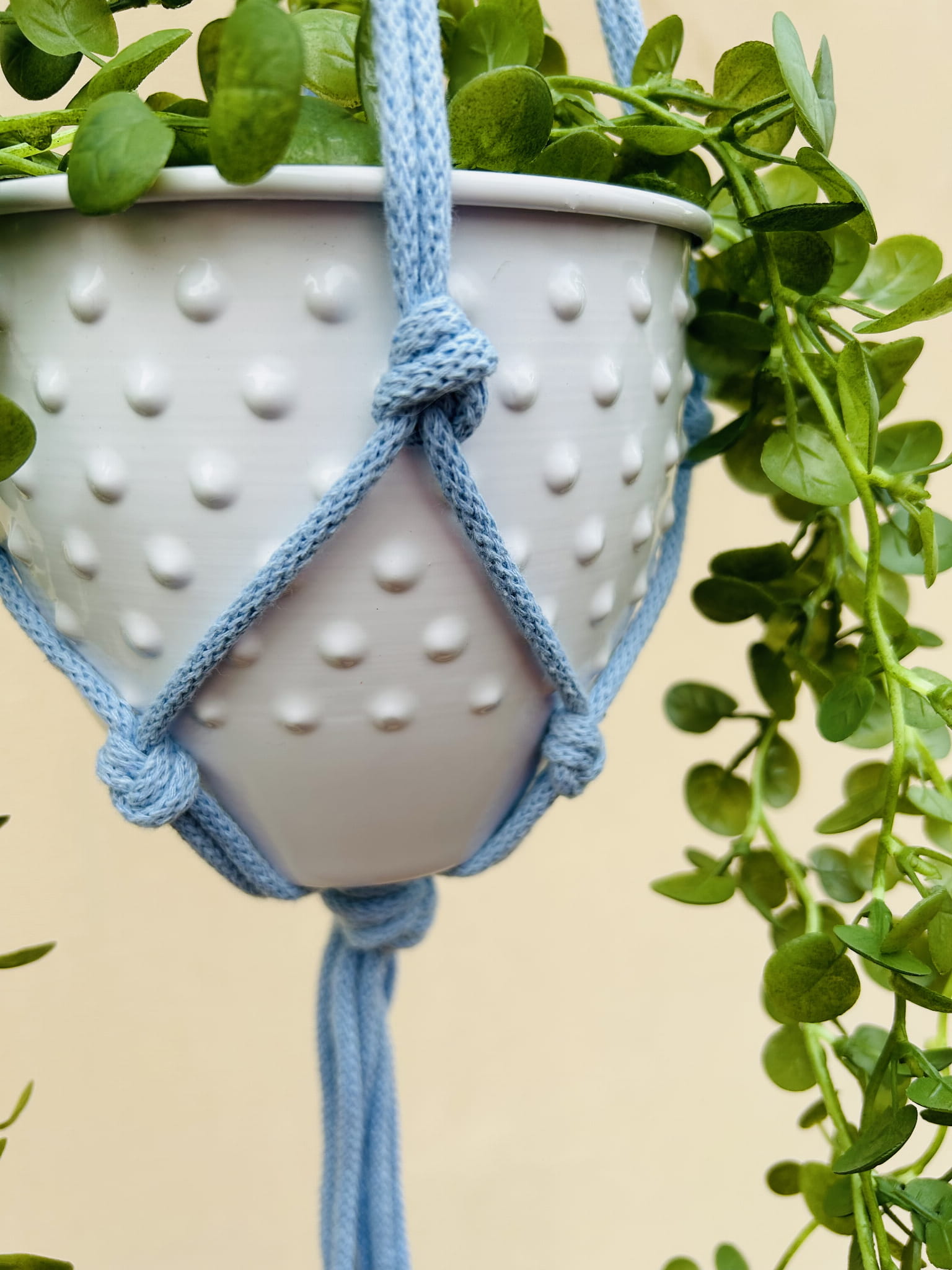 7a5699793a54920d5ae821b764fbef87