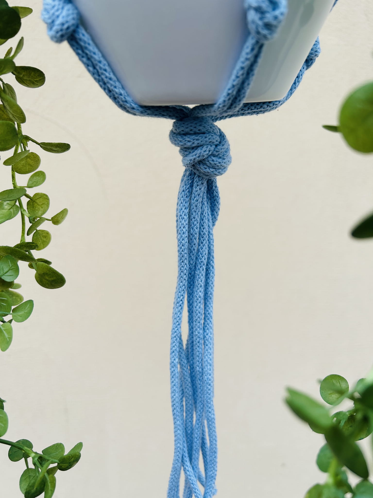 3c811d4bba94eefa1377b83575c5088a