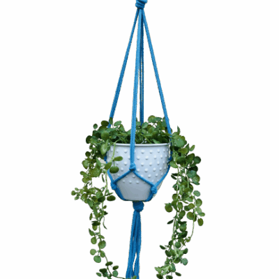 c1e5caf5fa7d2b8ec2b4a550af310401