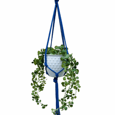 772db2c5a51965a42d485fd1955291d0