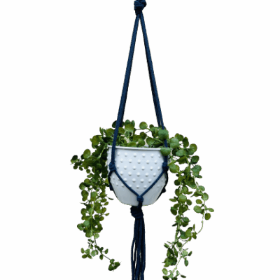 7b1d71c536c8253a9df67f9b1d013171