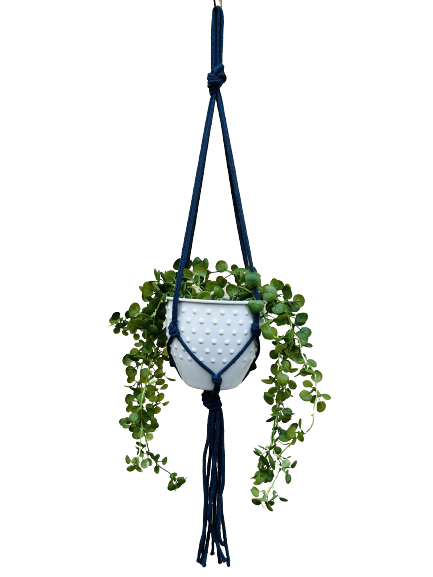 7b1d71c536c8253a9df67f9b1d013171