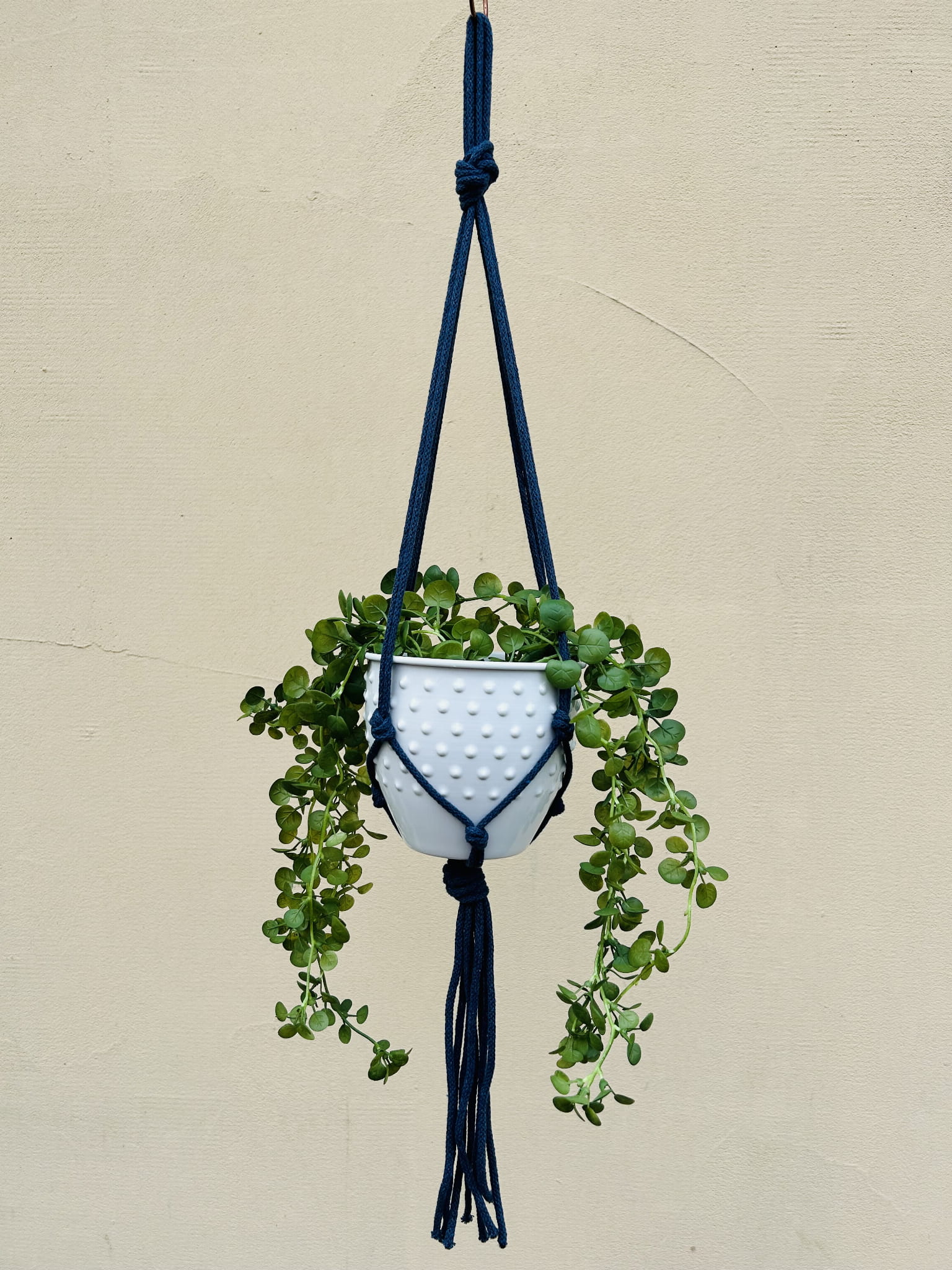 8c9db28faf494bd27f65f97095a3e5d2