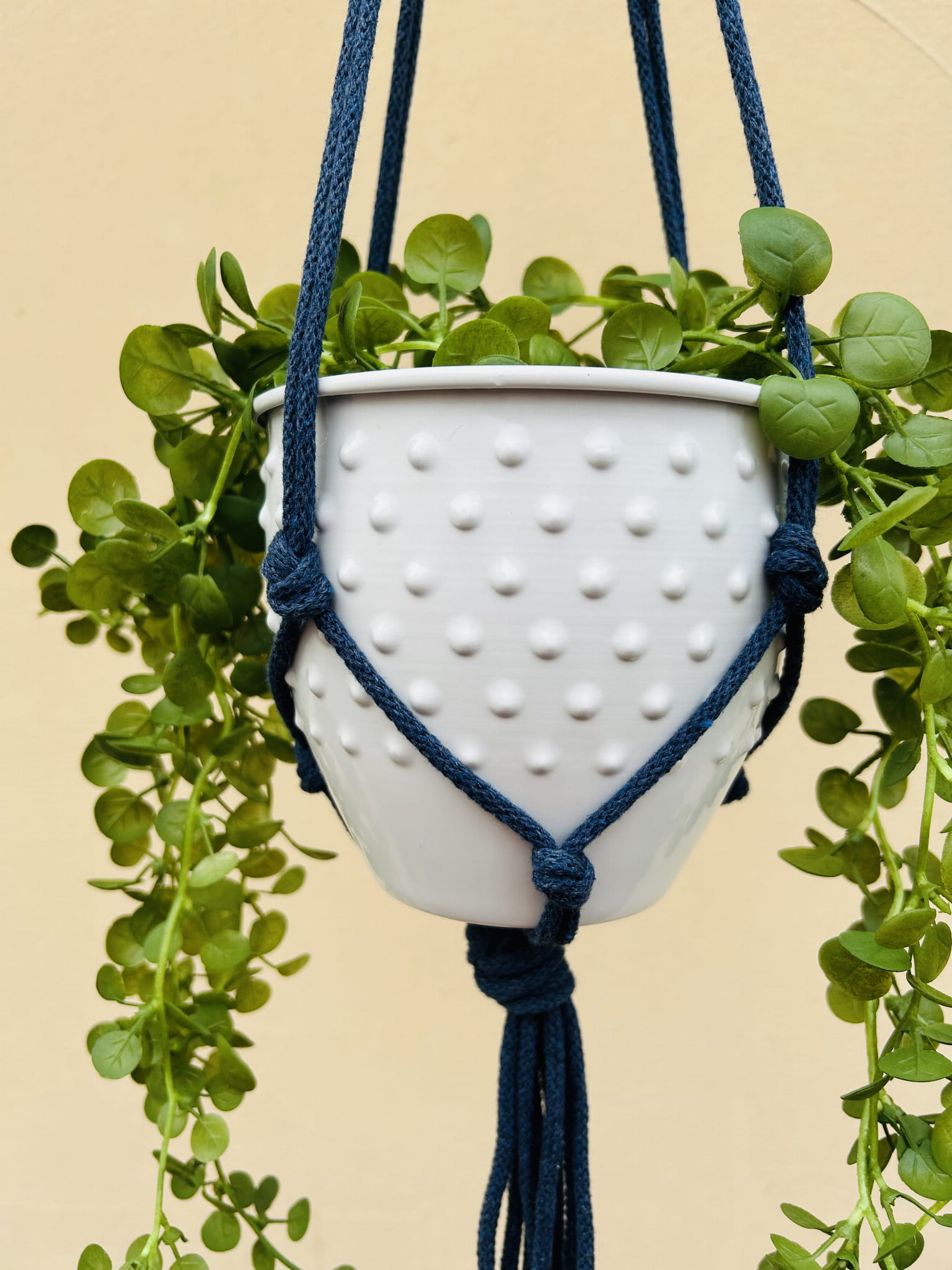 9754fc510e4267c477a8bc33bdf09366