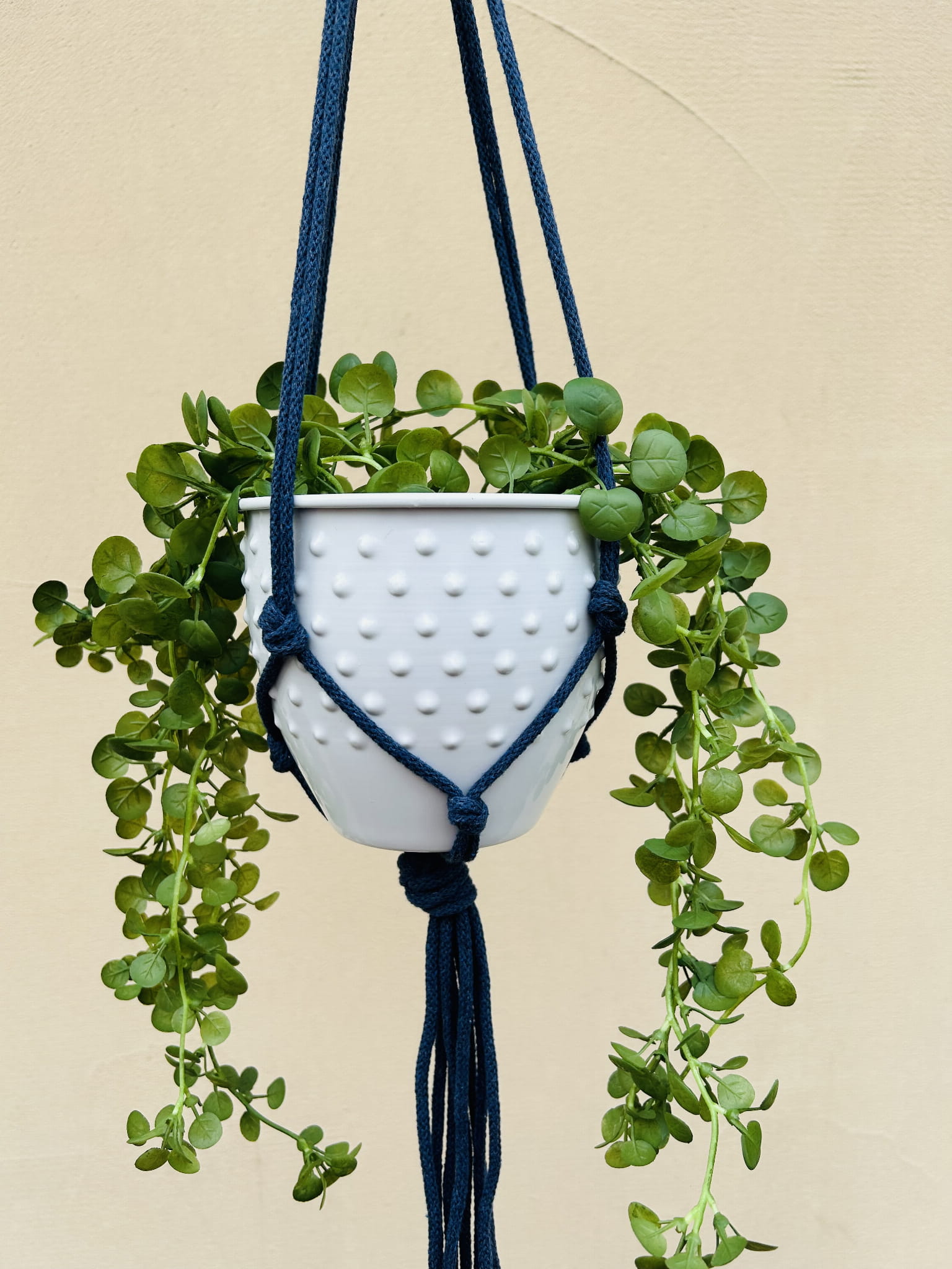 6b542cea95c7eaa6f449580325aa487d