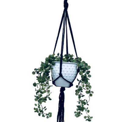 97c5cc8d2bcdbfeaaaf32d6f39bc90ef