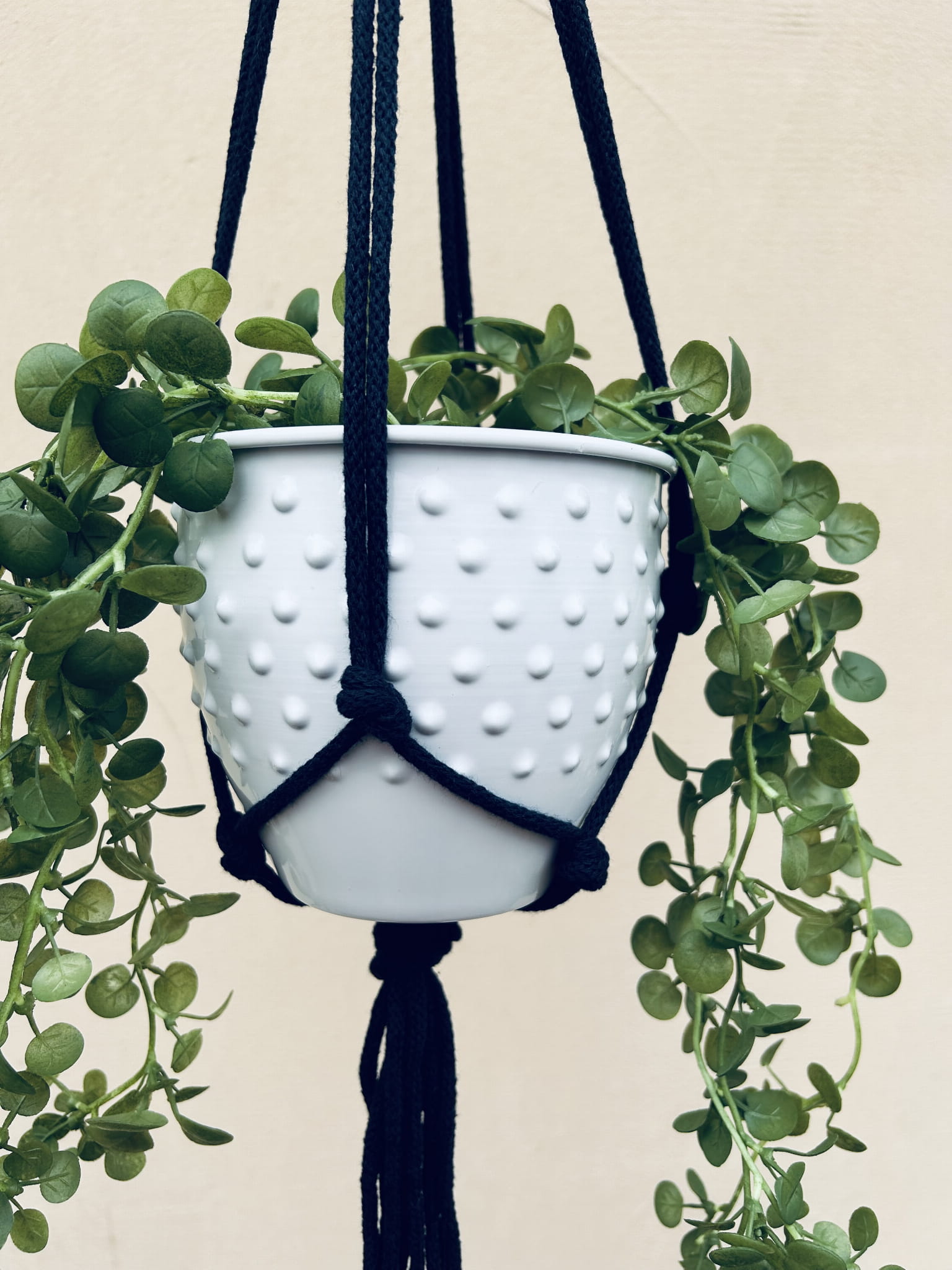 b51c2deed6d881b9a765dc5b4569da06