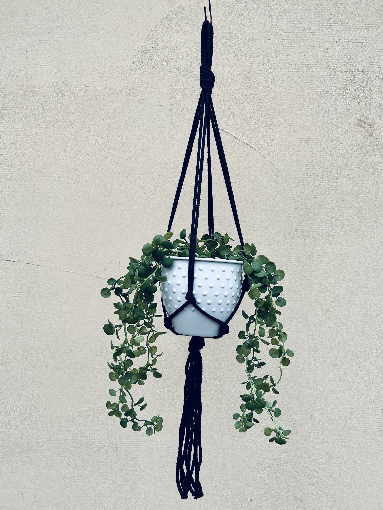 5929f31136bef2abb406dc578f672611