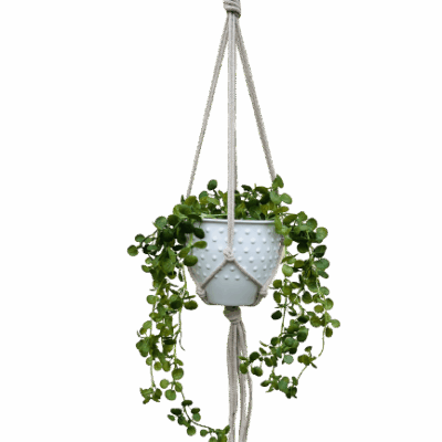 83c6eb8c2e2f747ccfa59ba43655bac2