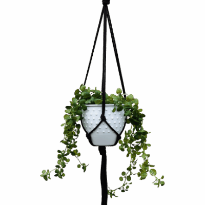 6ad8ecebe82d2b462bad237cd6f53b25