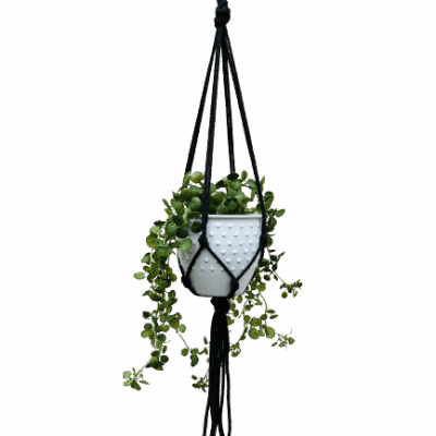 4664924dc3ee2d7fd062ac0694a46fec