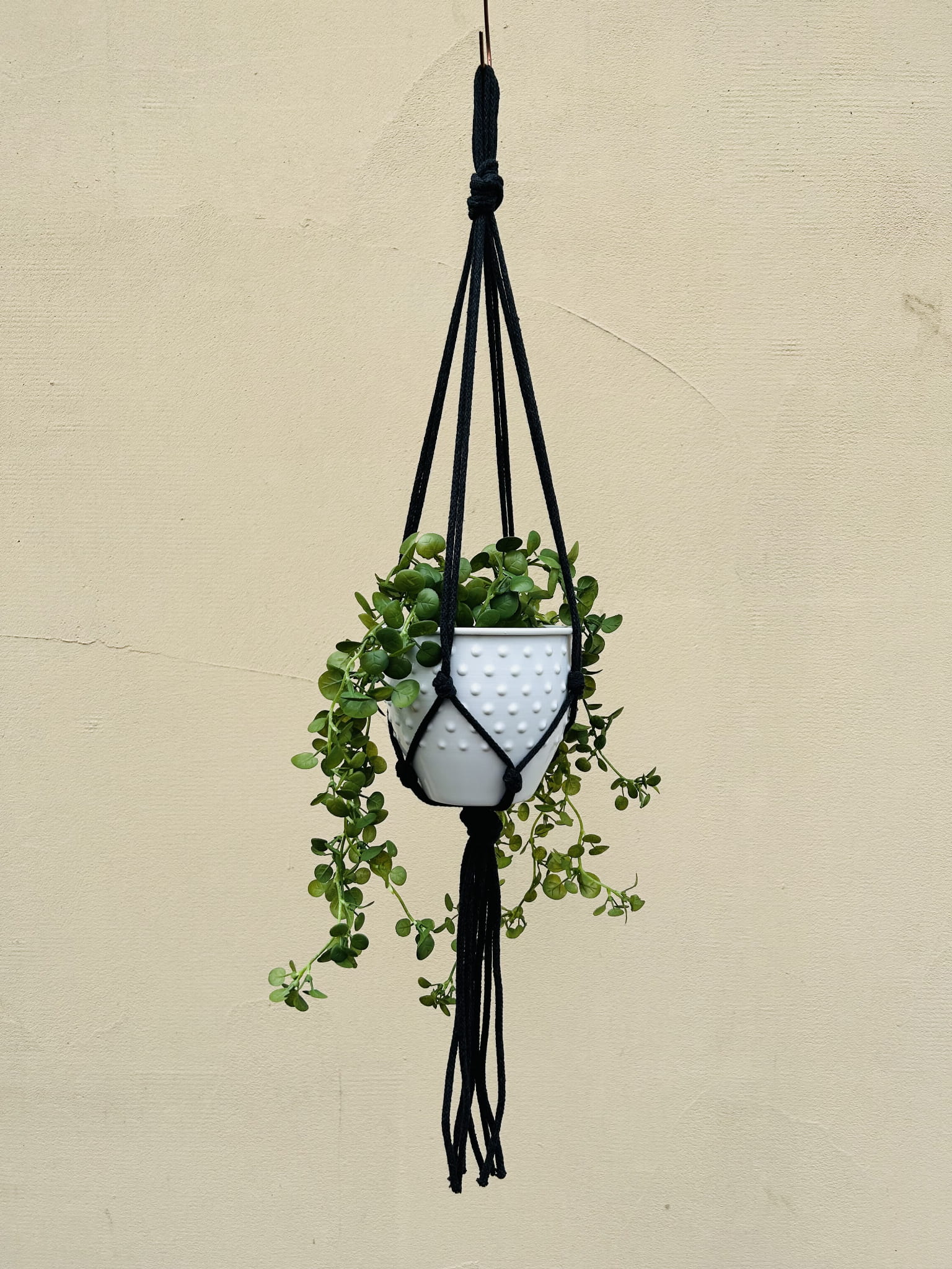 4de0c2ad51186e2e4788c6fe73b6357c