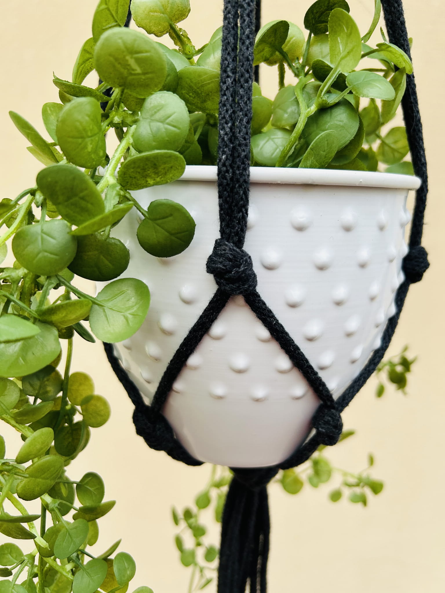 4fbf9be650fa19c977021809f38ab337