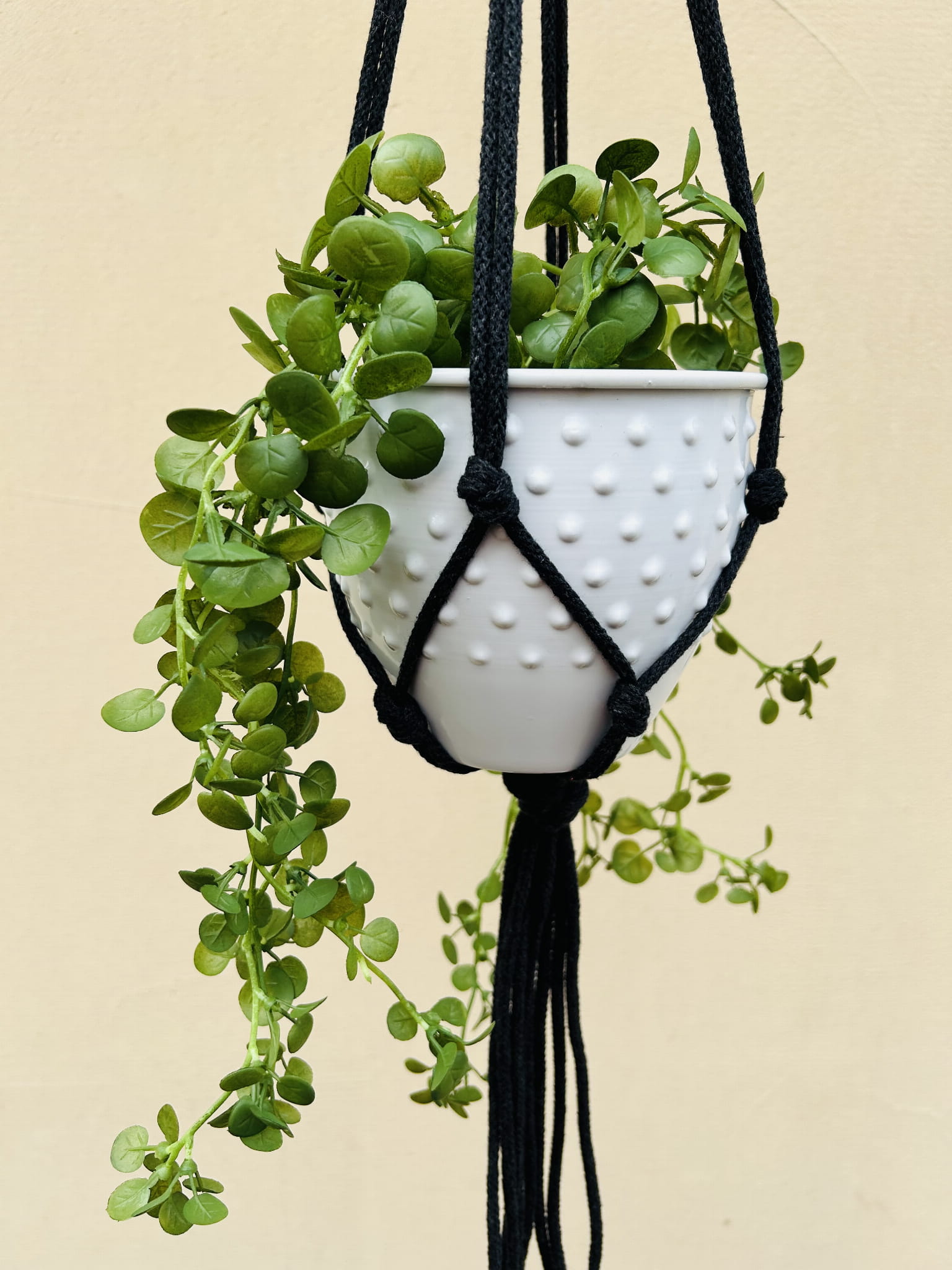 9331dfa41fb59b63b6d4f806f89deb36