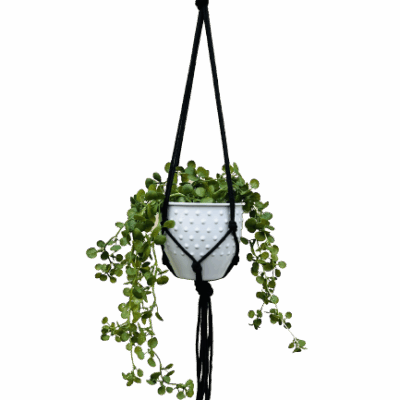 2c91aec38d7fe213289ab94634829b41