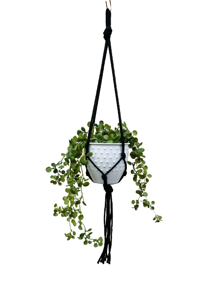 2c91aec38d7fe213289ab94634829b41