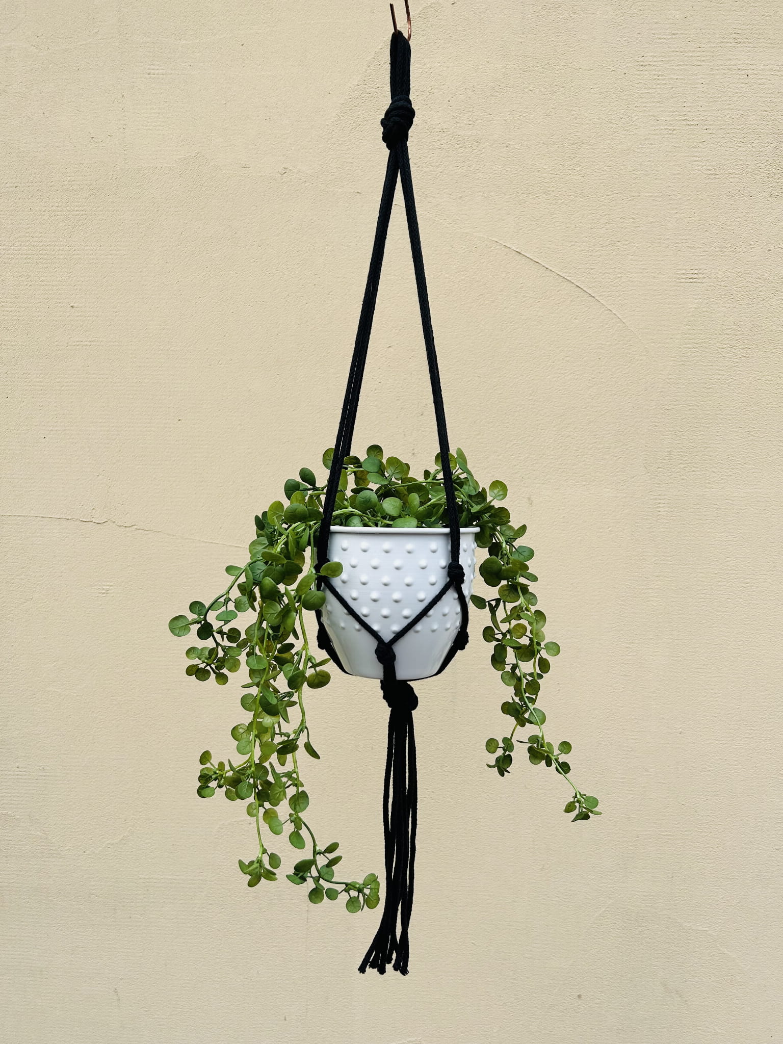 c81340d4e6942095145f72711474a65d