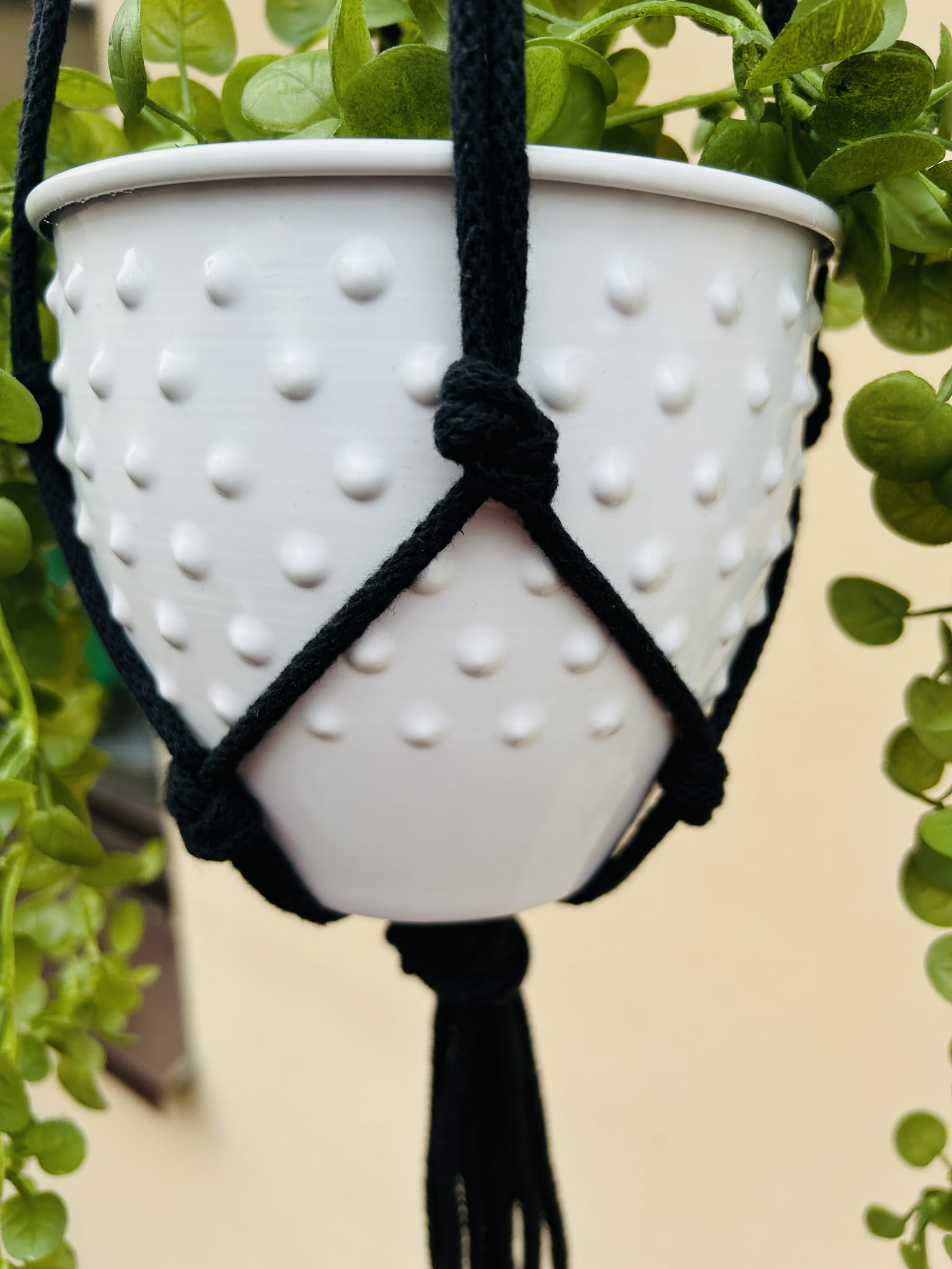 c1c561ffac49e951de309ed088338c03