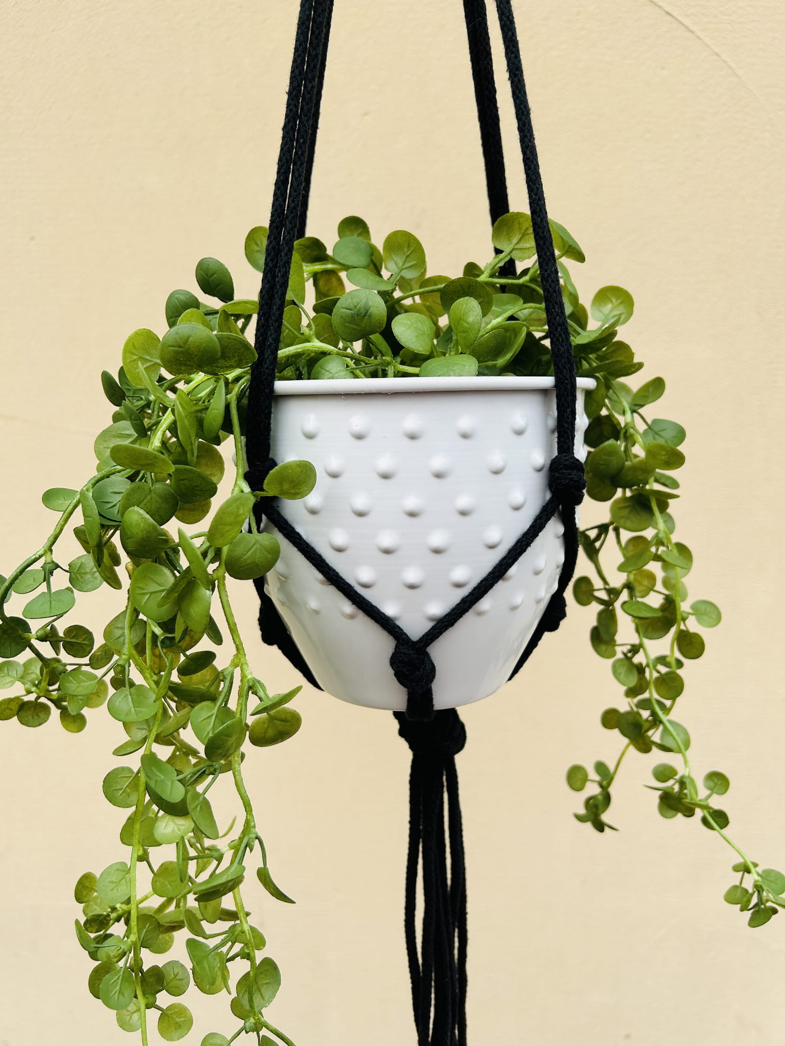 382c3694aa23fc856c0f8fb8aa2e7185