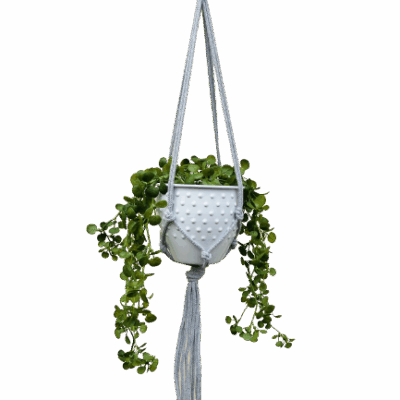 5b344d2a1da525b9e2b8f1cd522c2c36