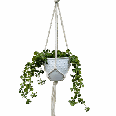 1062badf10fe6fcd17dff5d9a85d9913