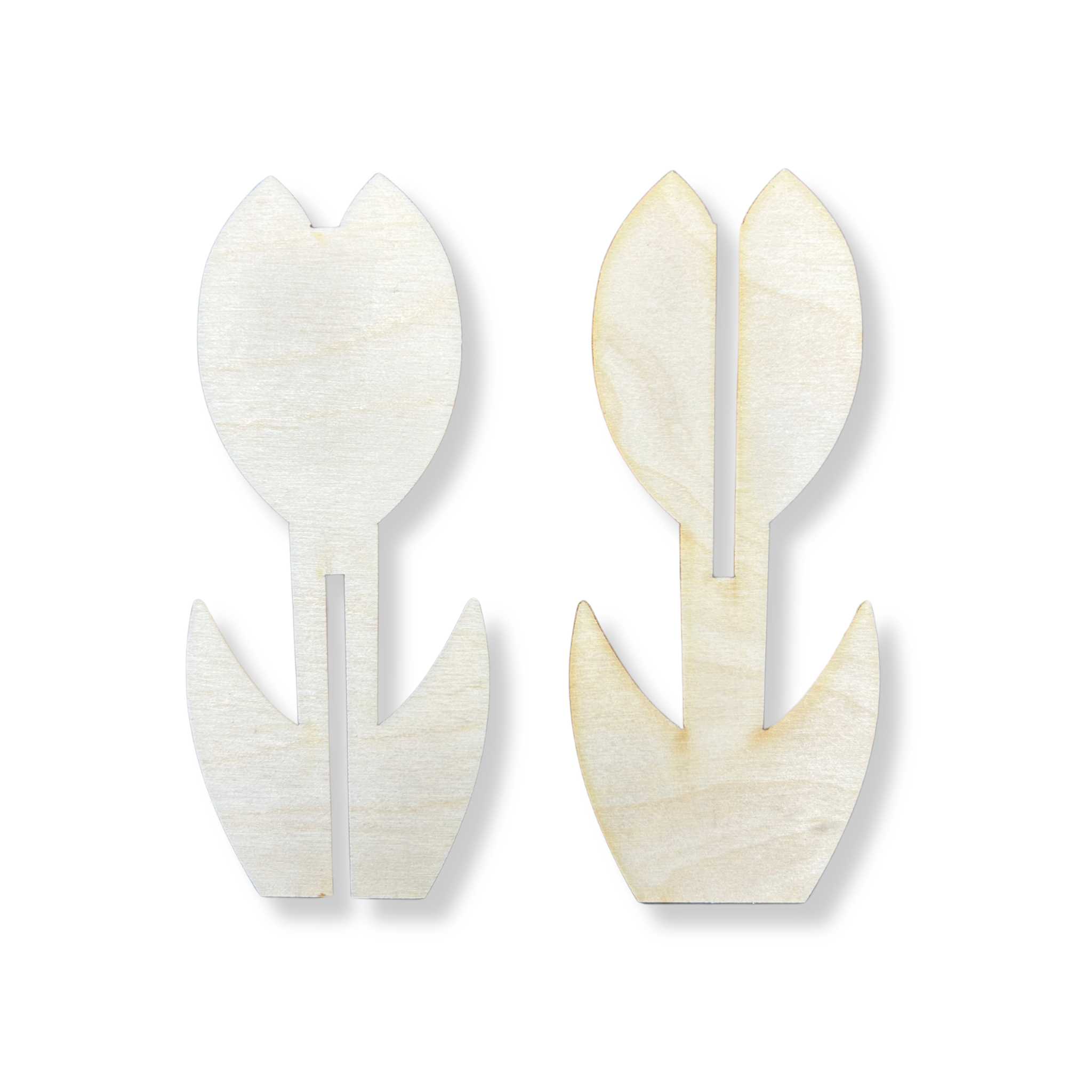 49f7f070acc348a57aa74c495e553580