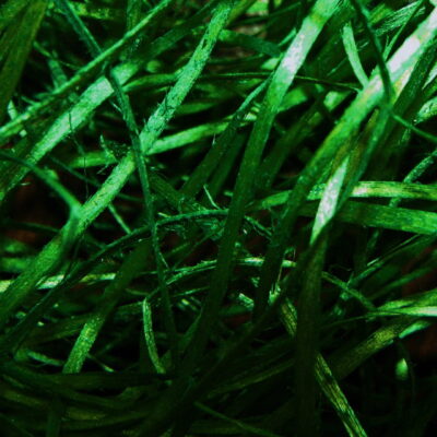 46f53fd50f9f8ffdba6e74f398f09369