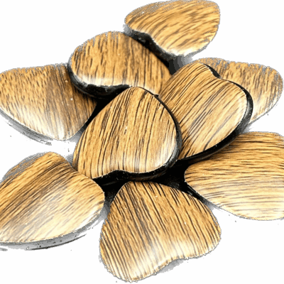 e10efc4c921a7ae01a612057428353e3