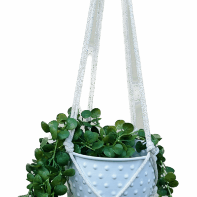 e72e1bfd01aeab1dd2a92d7e0665024a