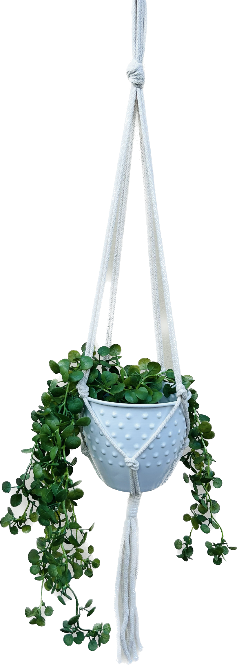 e72e1bfd01aeab1dd2a92d7e0665024a