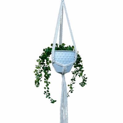 d778b826fd623a91ad7207f4a153321d