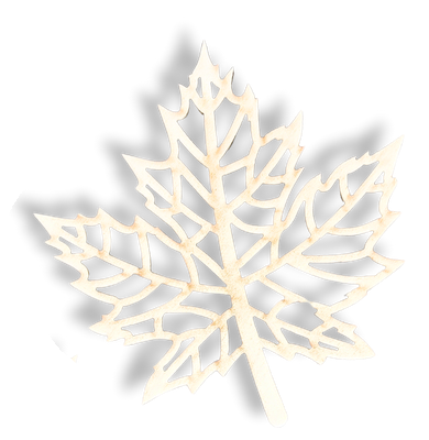 0fde9a5582c608fdf1b96d52778731e5